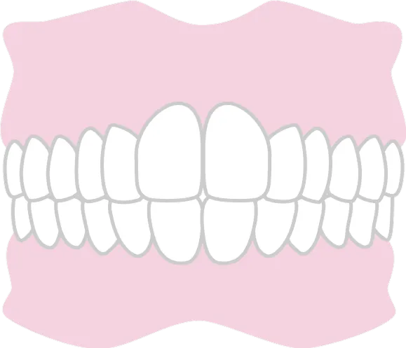 永久歯が生えそろう時期です